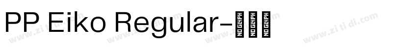 PP Eiko Regular字体转换 PP Eiko Regular字体转换